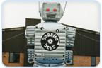 Merlin Inflatable Rooftoppers