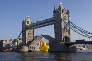 Merlin Inflatable Recent News
